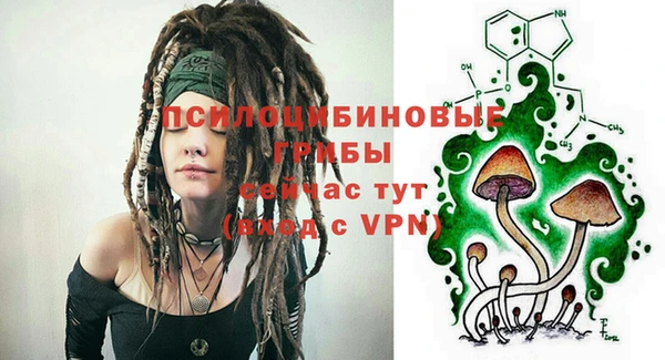 бошки Верея
