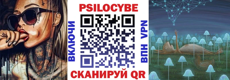 Псилоцибиновые грибы Psilocybine cubensis Задонск