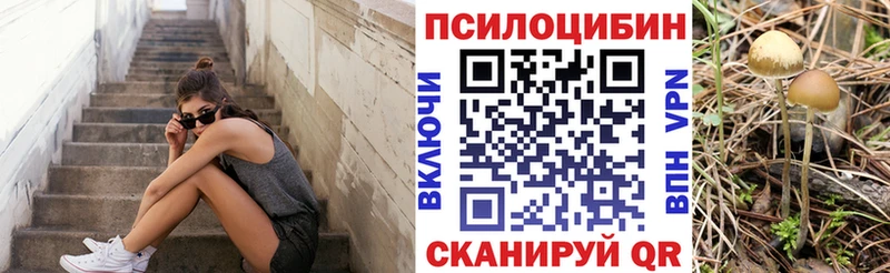 Галлюциногенные грибы Psilocybe  Задонск 